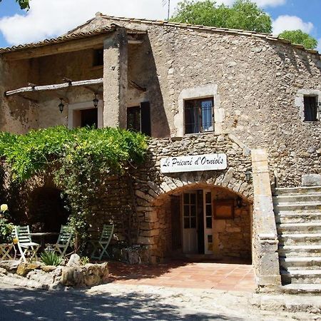 Studio-gîte Chauvet III Le Prieuré d'Orniols Goudargues Esterno foto